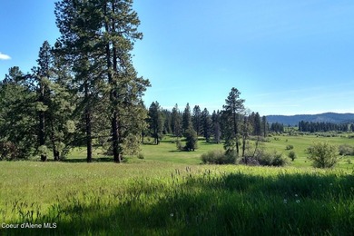 Escape to your Private Idaho sanctuary on 140 acres of pristine - photo 38