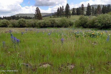 Escape to your Private Idaho sanctuary on 140 acres of pristine - photo 41