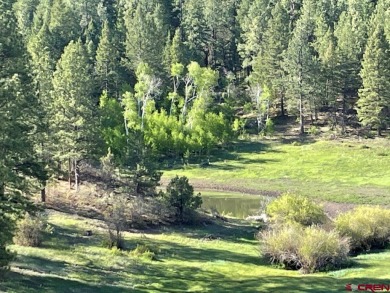 (private lake, pond, creek) Acreage For Sale in Pagosa Springs Colorado