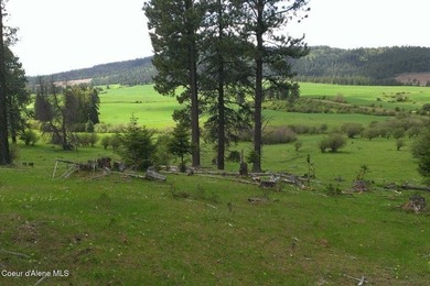 Escape to your Private Idaho sanctuary on 140 acres of pristine - photo 42