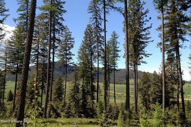 Escape to your Private Idaho sanctuary on 140 acres of pristine - photo 44