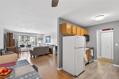 Medicine Lake Condo For Sale in Plymouth Minnesota