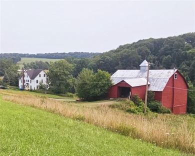 Lake Home For Sale in Delaware, New York