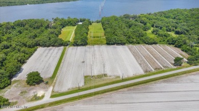 St. Johns River - Putnam County Acreage For Sale in East Palatka Florida