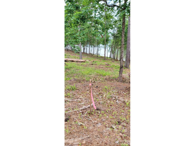 Waterfront homesite located in the gated Lakeside Reserve - photo 11
