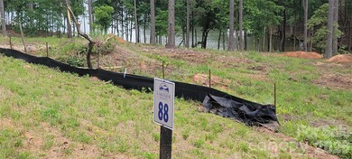 Waterfront homesite located in the gated Lakeside Reserve - photo 13