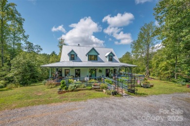 Lake Home For Sale in Lake Lure, North Carolina