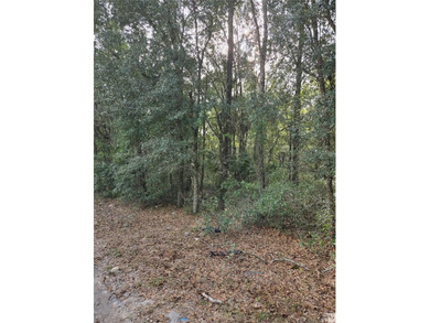 Black Sink Prairie Lake Lot For Sale in Citra Florida