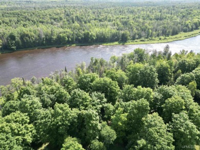 Lake Acreage Off Market in Cornell, Michigan