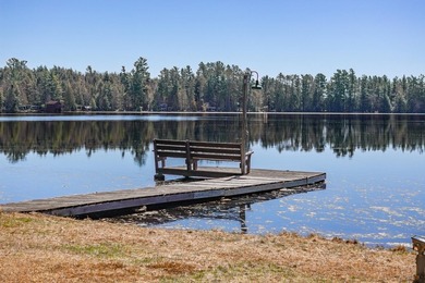 Exquisitely renovated, south-facing chalet-style lakefront - photo 2