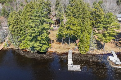 Exquisitely renovated, south-facing chalet-style lakefront - photo 3