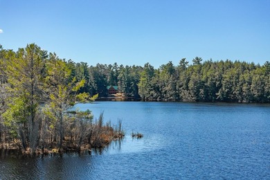 Exquisitely renovated, south-facing chalet-style lakefront - photo 4
