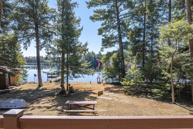 Exquisitely renovated, south-facing chalet-style lakefront - photo 5