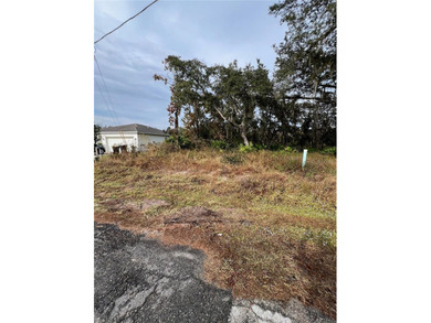 Lake Marion - Polk County Lot For Sale in Kissimmee Florida