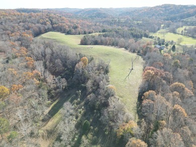 Beautiful rolling farm. This land has it all with its rolling - photo 7