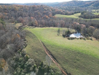 Beautiful rolling farm. This land has it all with its rolling - photo 8