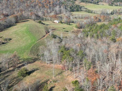 Beautiful rolling farm. This land has it all with its rolling - photo 10
