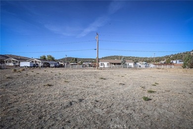 7th - photo 6