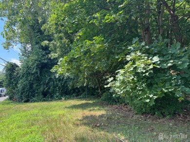 Lake Lot For Sale in Spotswood, New Jersey