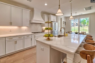 New construction home by the award-winning Blythe Custom Homes! - photo 13