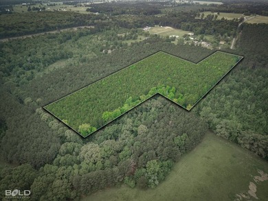 Discover the perfect blend of privacy, space, and opportunity - photo 13