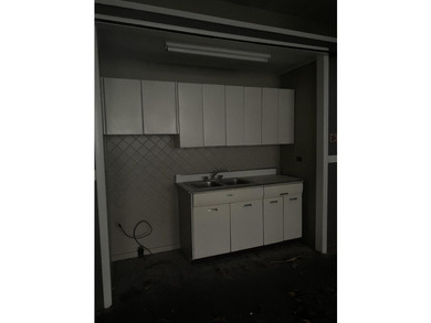 Step back in time with this extraordinary downtown Glennie - photo 16