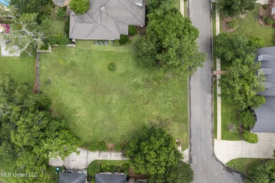 Build your dream home in one of Gulfport's most desirable - photo 4