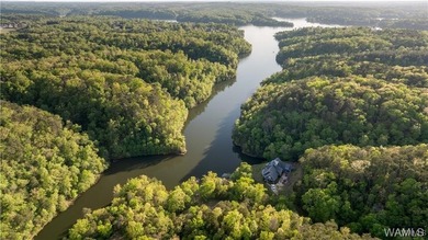 Serene, private, and designed to capture the beauty of Lake - photo 60