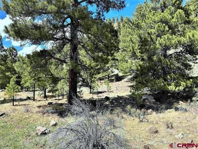 (private lake, pond, creek) Lot For Sale in South Fork Colorado