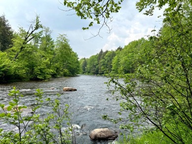 Lake Acreage For Sale in Indian Lake, New York