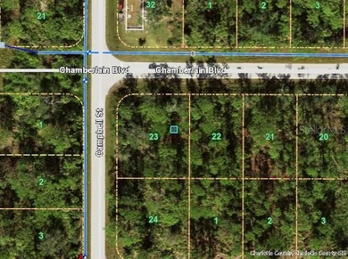 SUPER OVERSIZED CORNER LOT!!! CITY WATER!! No HOAs, deed - photo 2