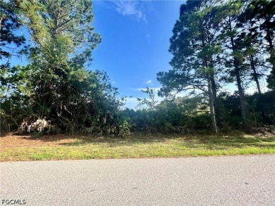 Port Charlotte Waterway Area Lot For Sale in Port Charlotte Florida
