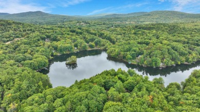 Lake Home For Sale in Antrim, New Hampshire