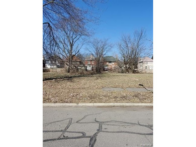 Lake Saint Clair Lot For Sale in Detroit Michigan