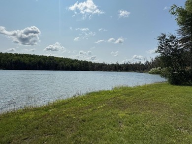 Large lot w/131' of frontage on spring-fed, all-sport, 80 acre - photo 14