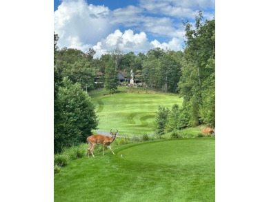 Toccoa River - Fannin County Lot For Sale in Mineral Bluff Georgia