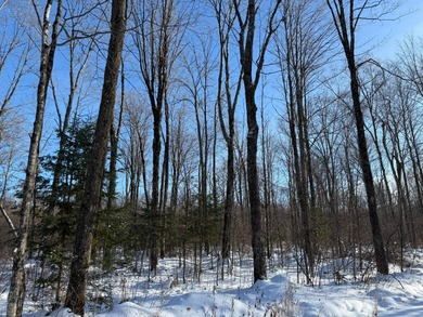 Lake Acreage For Sale in Merrill, Wisconsin