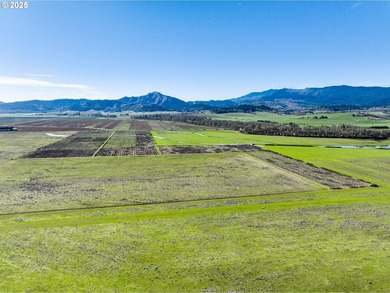 This renowned farmland was home to the famous Henry Estate - photo 7