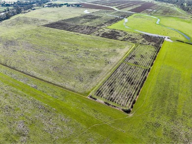 This renowned farmland was home to the famous Henry Estate - photo 8