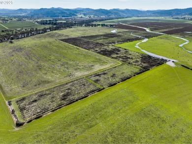 This renowned farmland was home to the famous Henry Estate - photo 9