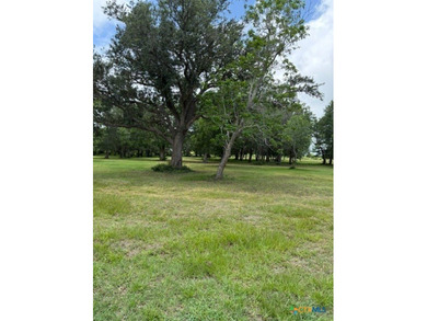 (private lake, pond, coastal) Acreage For Sale in La Ward Texas
