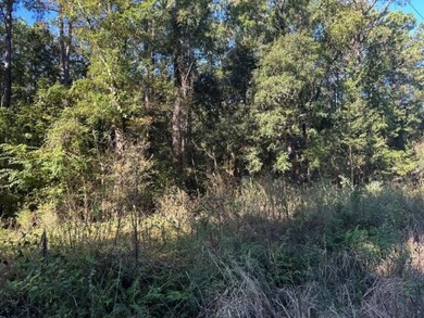 Rare opportunity to own 2 acres in the desirable Cainhoy area of - photo 2