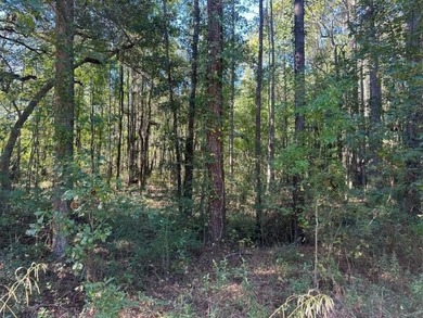 Rare opportunity to own 2 acres in the desirable Cainhoy area of - photo 3