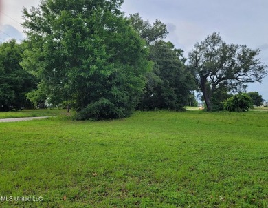 Corner Lot in a convenient location near Biloxi Back Bay - photo 6