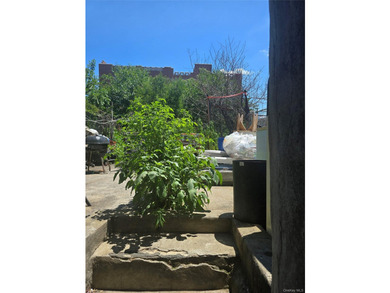 family property vacant property nothing to do live in one rent - photo 18