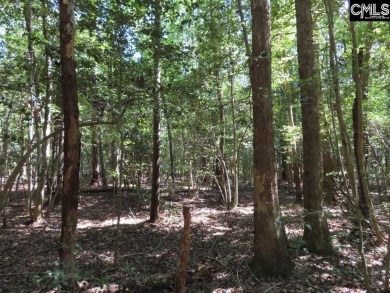 Lake Acreage For Sale in Leesville, South Carolina