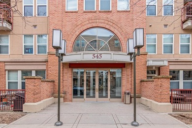 Experience elevated North Loop living in this stunning top-floor - photo 23
