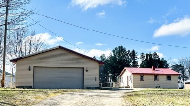 Jehnsen Lake Home For Sale in Rodney Michigan