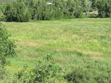 (private lake, pond, creek) Acreage Active Under Contract in Pagosa Springs Colorado