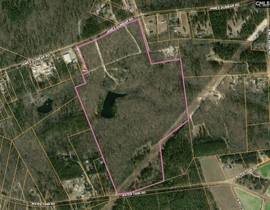 (private lake, pond, coastal) Acreage For Sale in Pelion South Carolina
